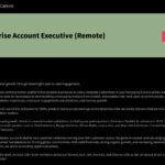Jr.Enterprise Account Executive (Remote)